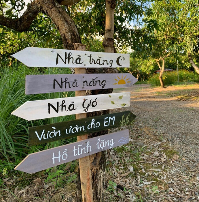Lối về dẫn tôi đến