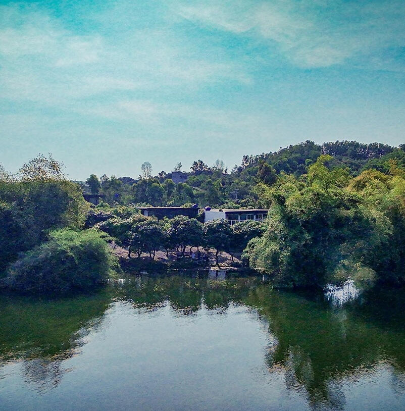 Cho mắt nhìn thong dong